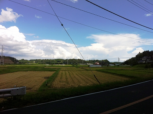 s-shibayama画像 003.jpg