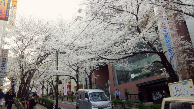 2013032316160000.jpg